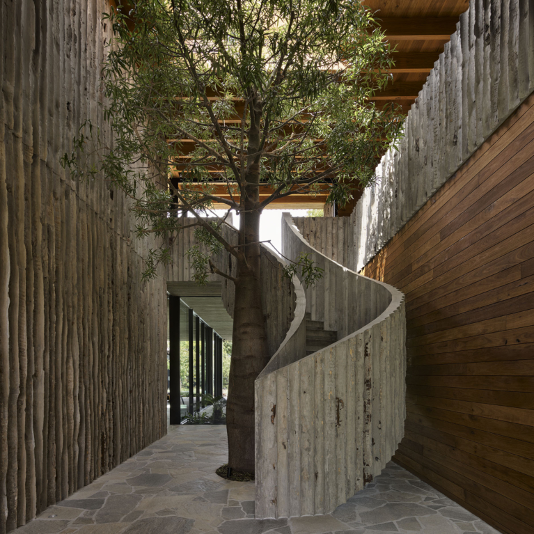 Log House By Elida De Felice Architect Issue 21 Feature The Local Project Image (1)