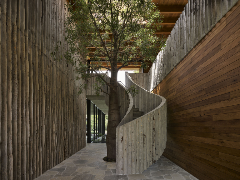 Log House By Elida De Felice Architect Issue 21 Feature The Local Project Image (1)