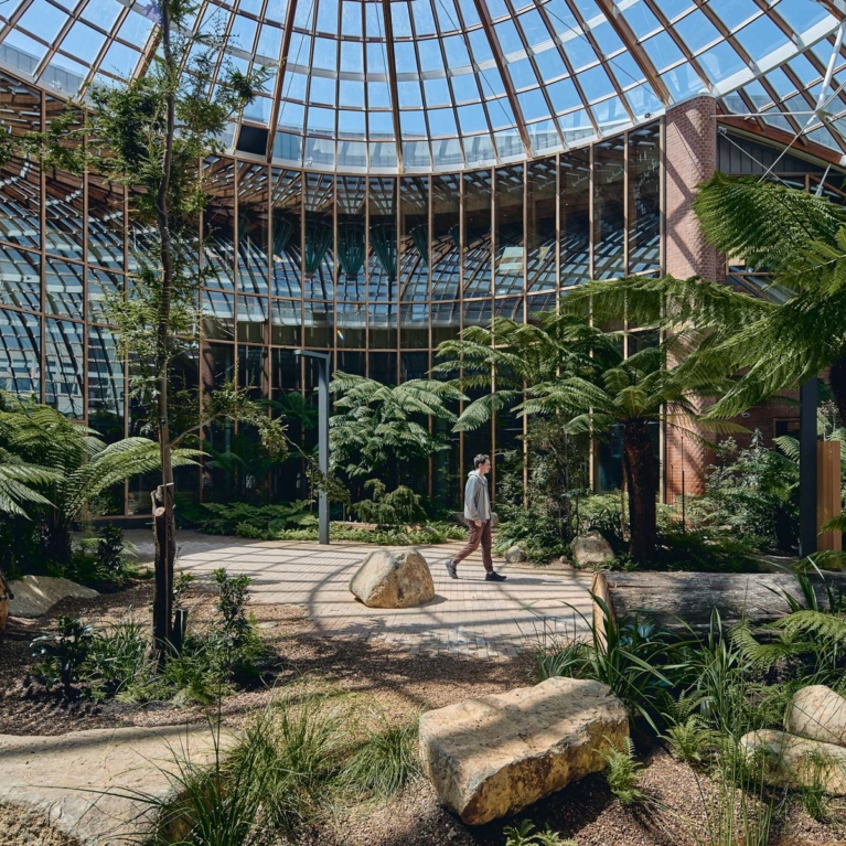 The Forest By Woods Bagot And Realmstudios Issue 21 Feature The Local Project Image (1)