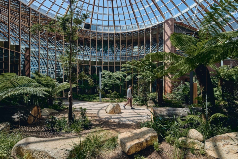 The Forest By Woods Bagot And Realmstudios Issue 21 Feature The Local Project Image (1)