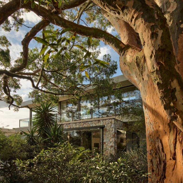 Ode To Alba By Stafford Architecture The Local Project Image (15)