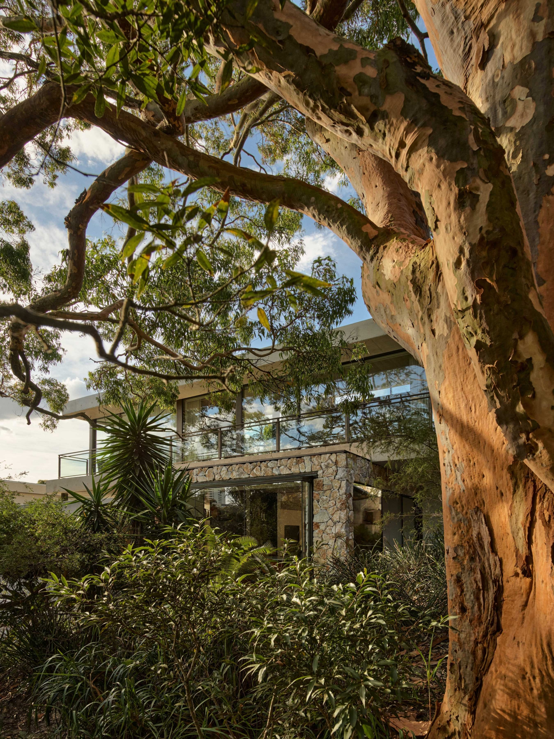 Ode To Alba By Stafford Architecture The Local Project Image (15)